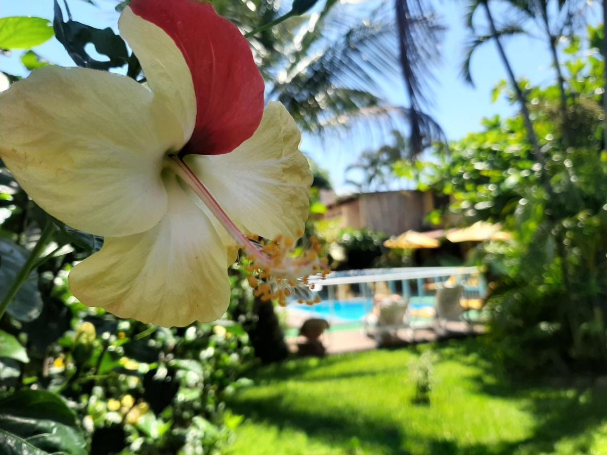 Pousada Palhocinha Garopaba Buitenkant foto